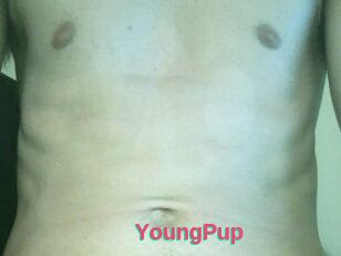YoungPup