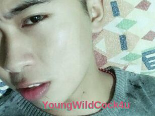 YoungWildCock4u