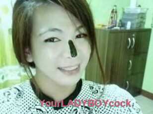 YourLADYBOYcock