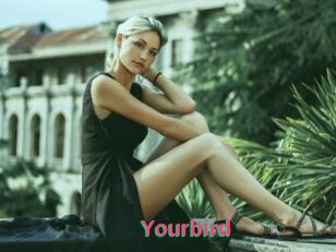 Yourbird