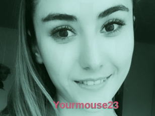 Yourmouse23