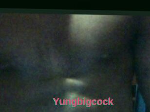 Yungbigcock