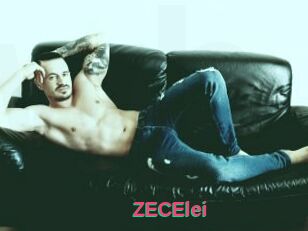 ZECElei