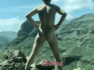 Zebrito