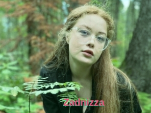 Zadnizza
