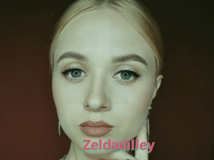 Zeldadilley