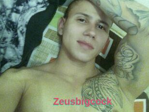 Zeusbigcock